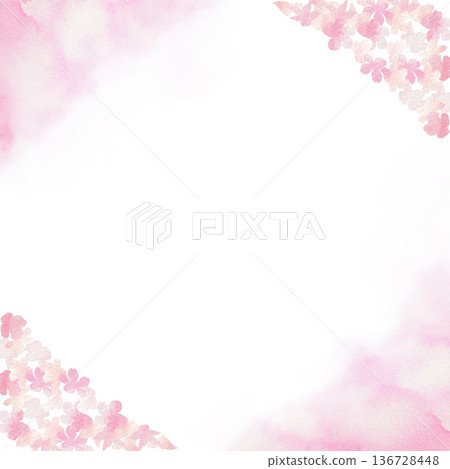 Cherry blossom square frame. Spring message card material on white background. Cherry blossom square frame. Spring message card material on white background. 136728448
