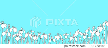 Iris line art background banner template Iris line art background banner template 136728485