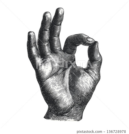 Engraved depiction of a hand making an OK gesture in detailed line style on white background, representing approval and positivity Engraved depiction of a hand making an OK gesture in detailed line style on white background, representing approval and positivity 136728978