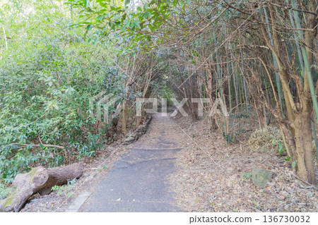 高安山登山起點位於志木山口站附近(生駒山脈) 高安山登山起點位於志木山口站附近(生駒山脈) 136730032