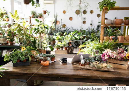 The shop is filled with lush greenery, creating a vibrant and inviting atmosphere for plant lovers 136730433