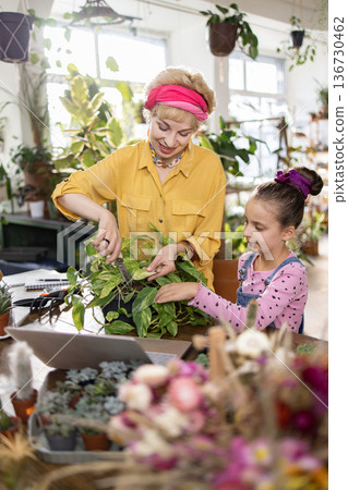 A woman and a young girl are working together to trim a houseplant, enjoying a moment of connection A woman and a young girl are working together to trim a houseplant, enjoying a moment of connection 136730462