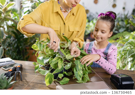 A mother and daughter are shown together, pruning a houseplant on a wooden table, enjoying quality time together A mother and daughter are shown together, pruning a houseplant on a wooden table, enjoying quality time together 136730465