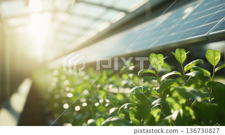 Harnessing Solar Power for a Sustainable and Eco-Friendly Future Harnessing Solar Power for a Sustainable and Eco-Friendly Future 136730827