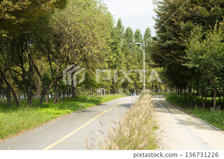 Han River bike path Han River bike path 136731226