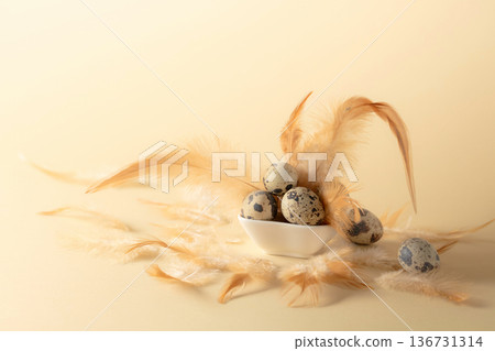 Quail eggs and feathers on a yellow background. 136731314