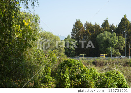 Han River bike path 136731901