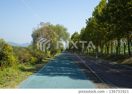 Han River bike path Han River bike path 136731921