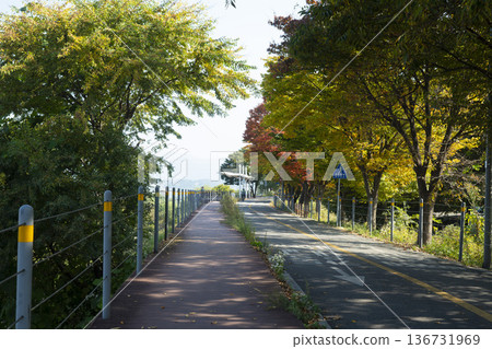 Han River bike path Han River bike path 136731969