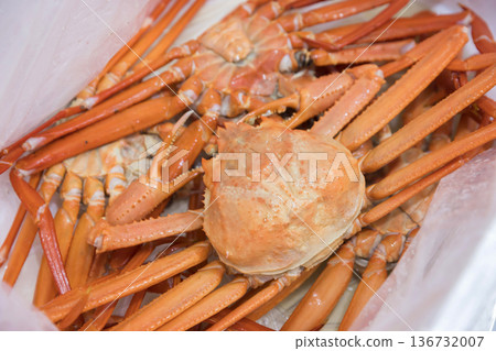 裝在泡沫塑膠容器裡的雪蟹－直接來自養殖場的圖片 136732007