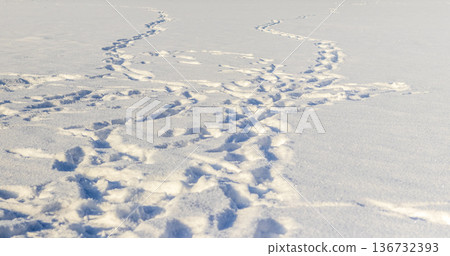 A close up of a snow covered surface with footprints or a path winding through it 136732393
