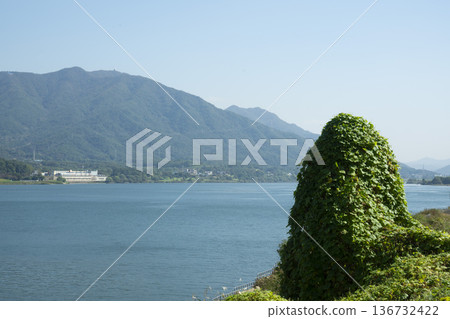 Han River bike path 136732422