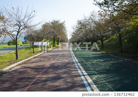 Han River bike path 136732462
