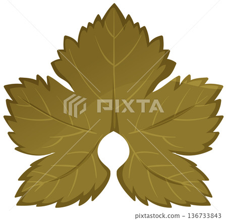 Golden Grape Leaf Cluster Vector Illustration Golden Grape Leaf Cluster Vector Illustration 136733843