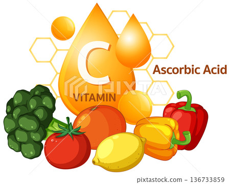 Vitamin C Rich Foods and Ascorbic Acid Illustration 136733859