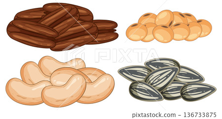 Assorted Nuts and Seeds Vector Illustration on White Assorted Nuts and Seeds Vector Illustration on White 136733875