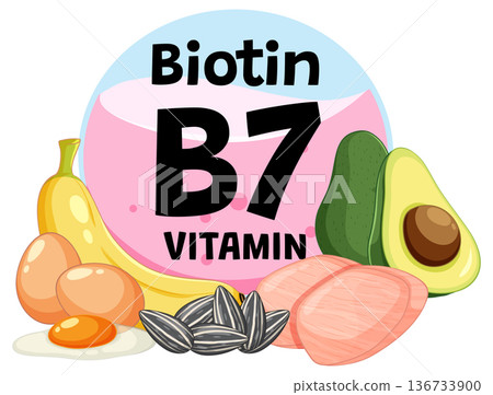 Biotin Vitamin B7 Rich Foods Vector Illustration Biotin Vitamin B7 Rich Foods Vector Illustration 136733900
