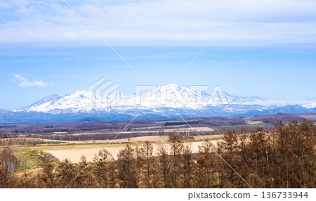 初春時節，晴空萬裡，北海道美瑛町的景色盡收眼底。 136733944