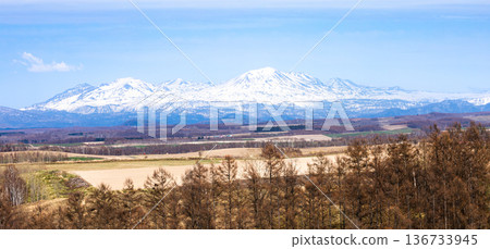 A view of Biei Town in Hokkaido in early spring under a clear blue sky 136733945