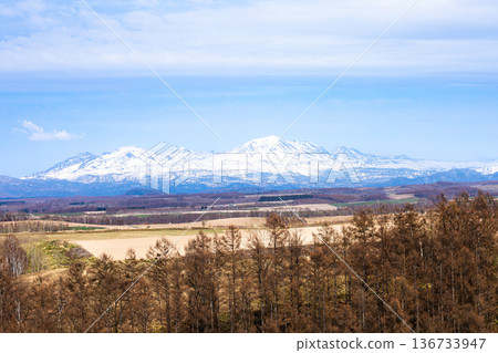 A view of Biei Town in Hokkaido in early spring under a clear blue sky 136733947
