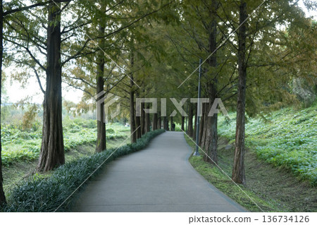 Han River bike path Han River bike path 136734126