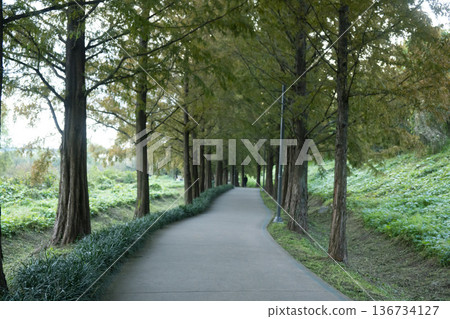 Han River bike path Han River bike path 136734127