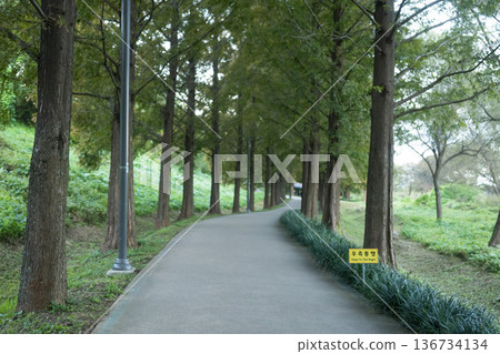 Han River bike path Han River bike path 136734134