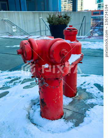 Red fire hydrant covered with snow beside a building in a city during winter season Red fire hydrant covered with snow beside a building in a city during winter season 136734194