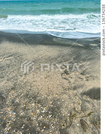 Waves roll onto a sandy beach on a sunny day while seashells scatter across the shore near a gentle surf in a coastal area Waves roll onto a sandy beach on a sunny day while seashells scatter across the shore near a gentle surf in a coastal area 136734288