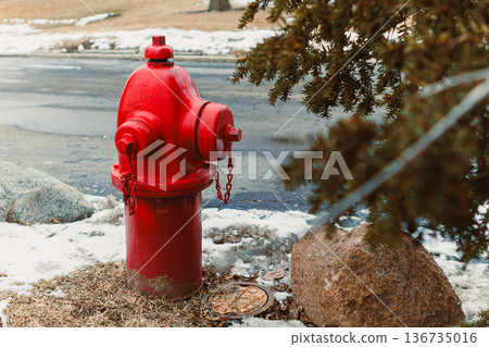 Bright red fire hydrant stands near a tree and rocks by the roadside during winter, surrounded by some snow and dried grass Bright red fire hydrant stands near a tree and rocks by the roadside during winter, surrounded by some snow and dried grass 136735016