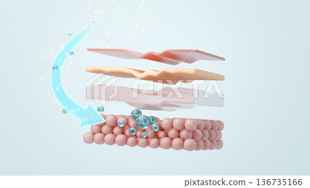 圖示透明質酸填充劑注射到皮下組織以收緊皮膚的機制 136735166