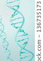 The source of life, a blue double helix structure woven from marine DNA components. Abstract background for regenerative medicine and skin care 136735173