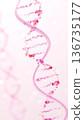 A fusion of regenerative medicine and cosmetic science: a pink illustration of genetic DNA created with water droplets and glass 136735177