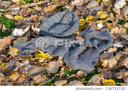 Gray knit scarf and hat on autumn leaves outdoors Gray knit scarf and hat on autumn leaves outdoors 136735728