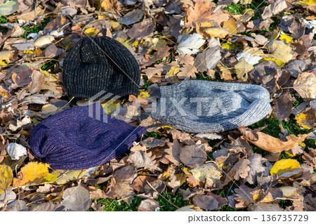 Knit hats and scarf on fallen autumn leaves 136735729