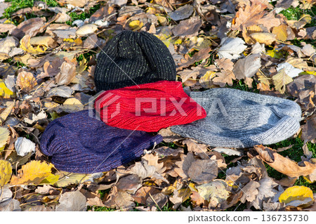 Knit hats and red scarf on autumn leaves background 136735730