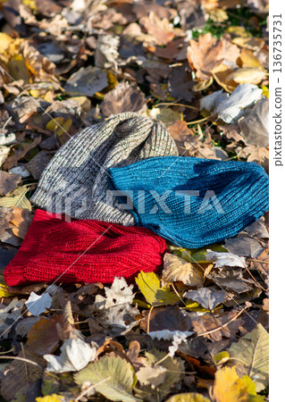 Colorful knit beanies on autumn leaves outdoors 136735731