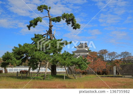 The view of the three-story turret against the blue sky from Shibata Castle Ruins Park The view of the three-story turret against the blue sky from Shibata Castle Ruins Park 136735982