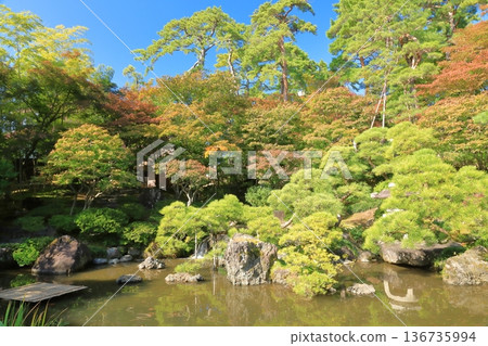 在晴朗的藍天下,新潟市齋藤家族故居的美麗日式花園盡收眼底。 在晴朗的藍天下,新潟市齋藤家族故居的美麗日式花園盡收眼底。 136735994