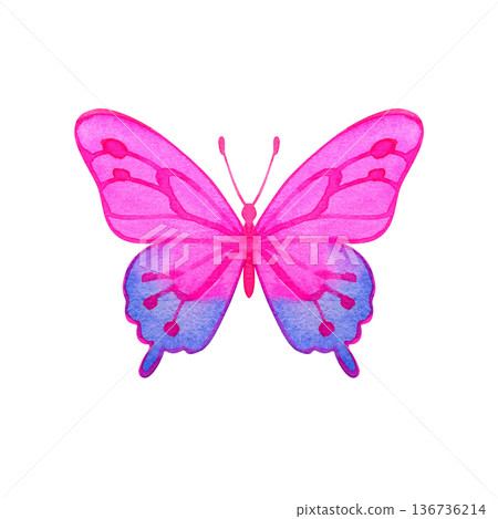 Hand-painted watercolor illustration of a beautiful pink and purple butterfly with a vibrant color gradient. This detailed insect features delicate wing patterns and a graceful silhouette, ideal for Hand-painted watercolor illustration of a beautiful pink and purple butterfly with a vibrant color gradient. This detailed insect features delicate wing patterns and a graceful silhouette, ideal for 136736214