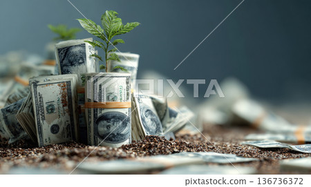 Green seedling growing robustly from a fertile bed of soil surrounded by rolls of United States currency, symbolizing financial growth, investment, savings, business success, wealth creation over time 136736372