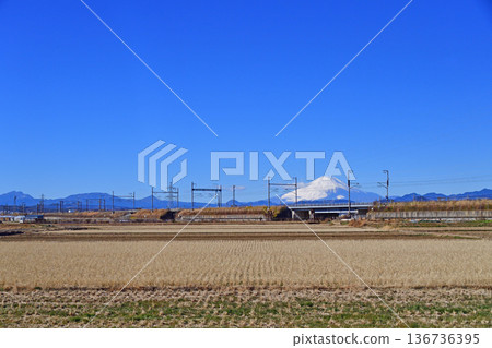 東海道新幹線 小田原新橫濱 JR Central 東海道新幹線 小田原新橫濱 JR Central 136736395