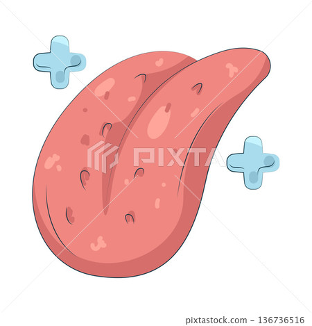 Illustration of human tongue Illustration of human tongue 136736516