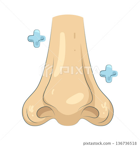 Illustration of human nose Illustration of human nose 136736518