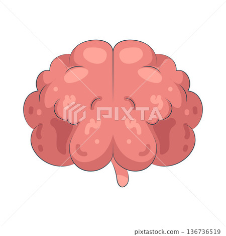 Illustration of human brain Illustration of human brain 136736519