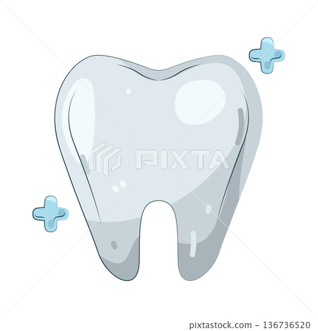 Illustration of human tooth Illustration of human tooth 136736520