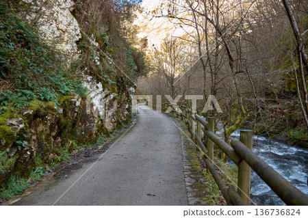 Peaceful nature walk along a winding path in Redes Natural Park, Asturias, Spain 136736824