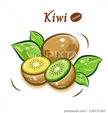 奇異果向量插圖 | 清新可愛的水果普普藝術 136737167