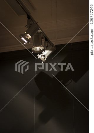 A cable mounted track lighting system 136737246