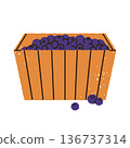 Woven basket of fresh blueberries. Ripe summer blueberry. Natural and organic healthy food in berry box. Isolated vector illustration	 136737314